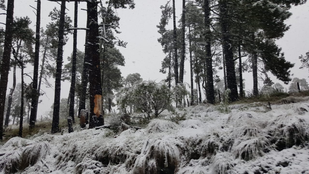 Nevada afecta zona del Nevado de Toluca