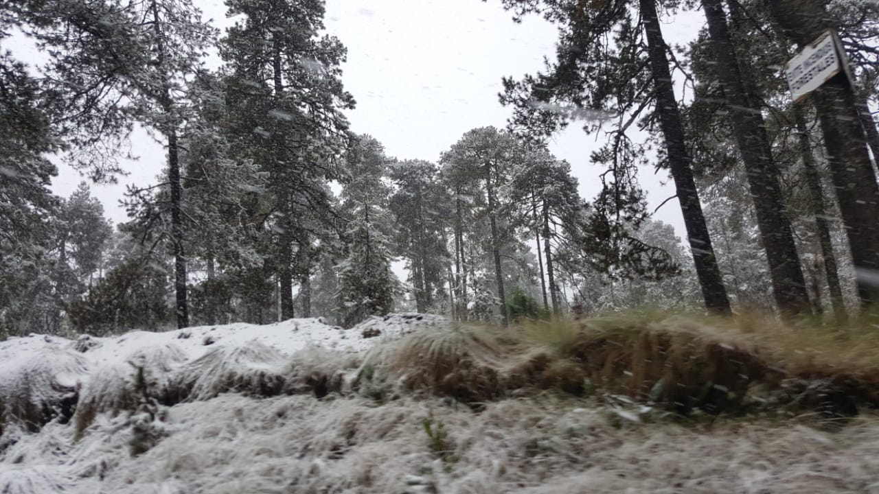 Nevada afecta zona del Nevado de Toluca - whatsapp-image-2018-11-14-at-114344-am