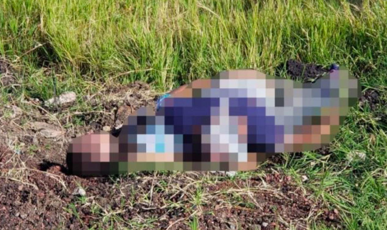 Encuentran dos cuerpos en Michoacán