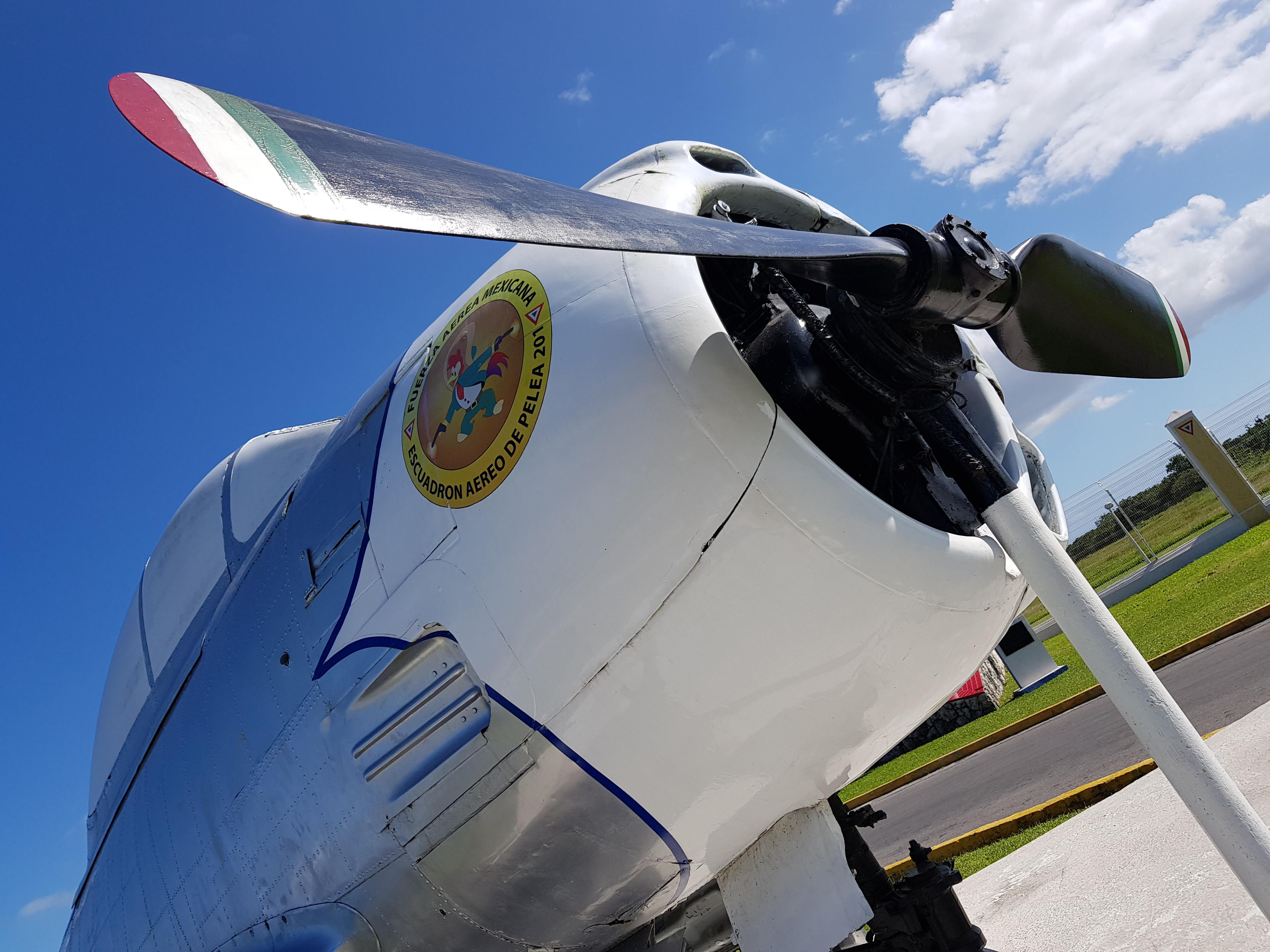 El personaje de Disney que es mascota de la Fuerza Aérea Mexicana - 20181212-132818