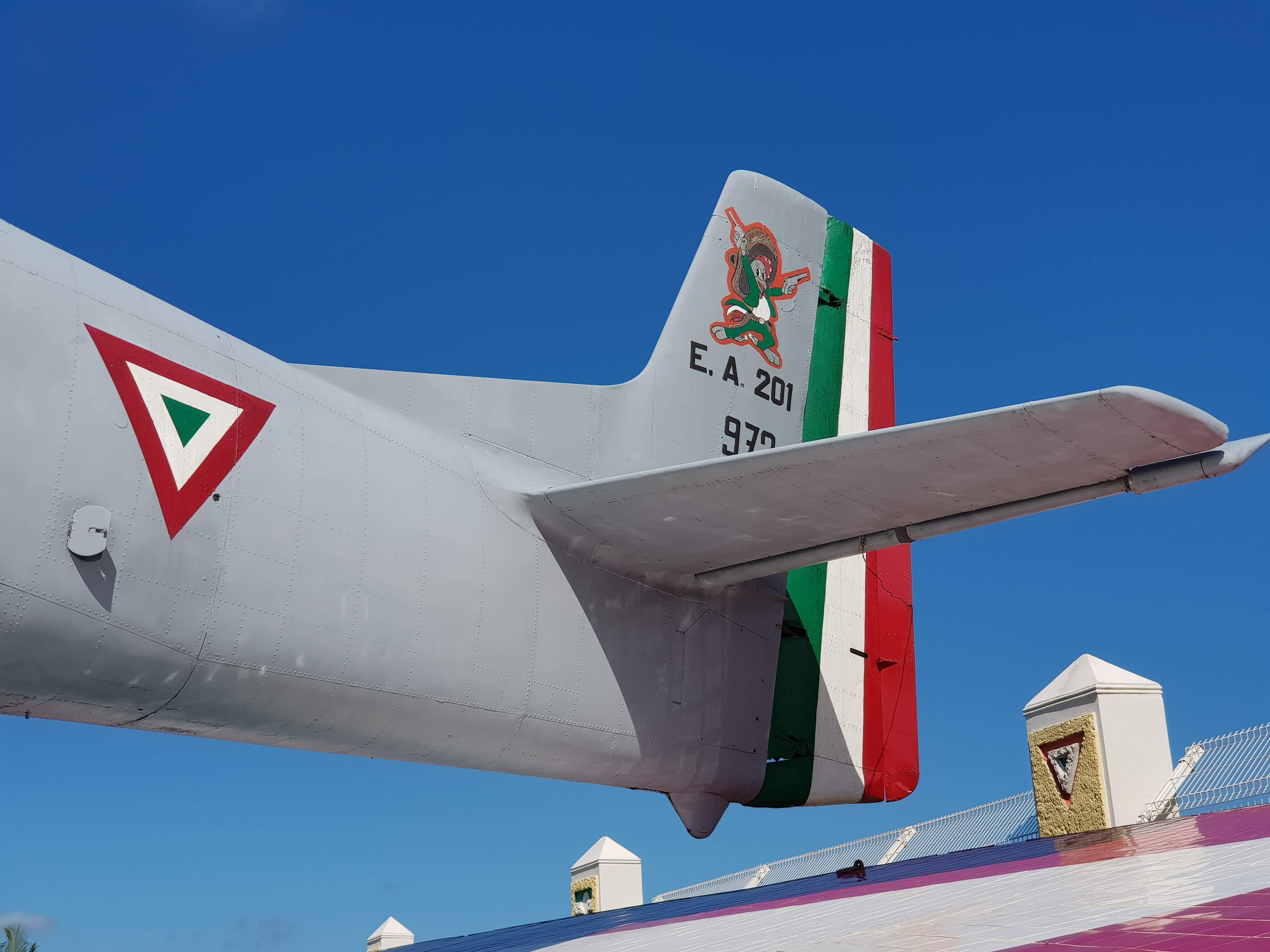 El personaje de Disney que es mascota de la Fuerza Aérea Mexicana - 20181212-133017