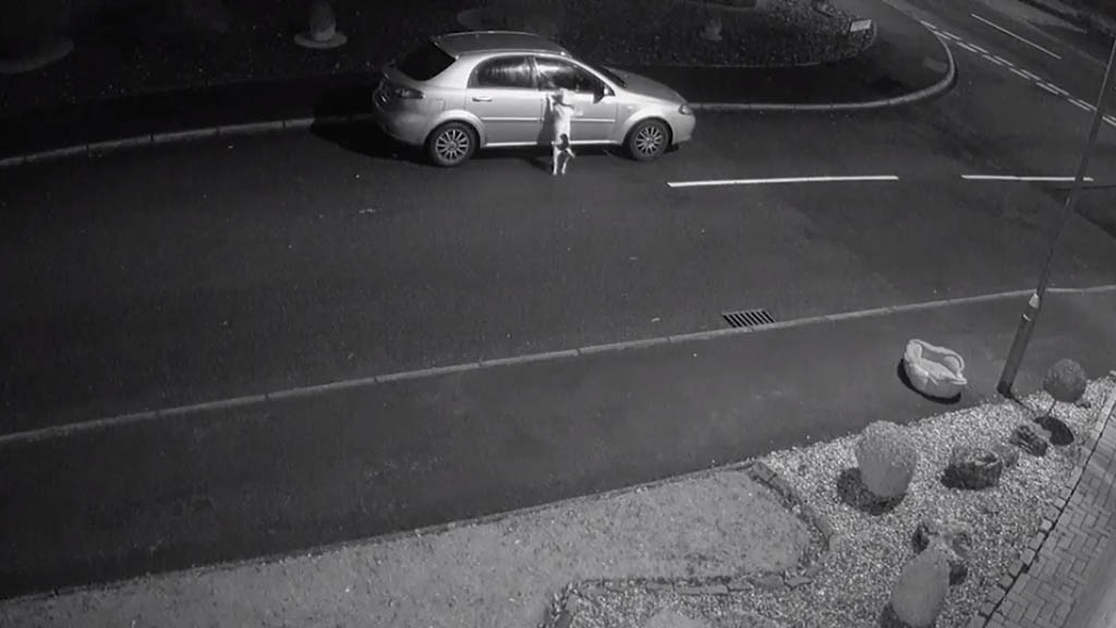 #Video Sujeto abandona a perro con todo y su cama