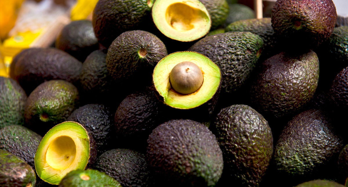 OMC investigará restricción de Costa Rica al aguacate mexicano