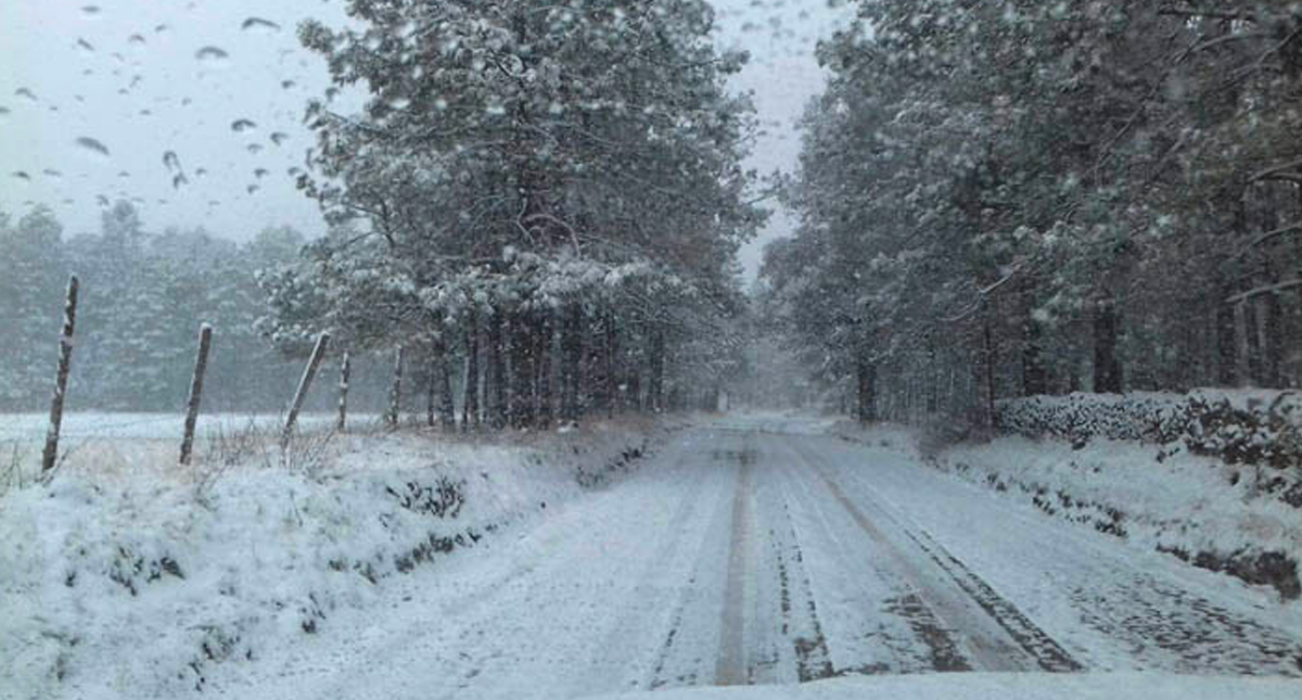 Pronostican aguanieve en partes altas de Coahuila por frente frío