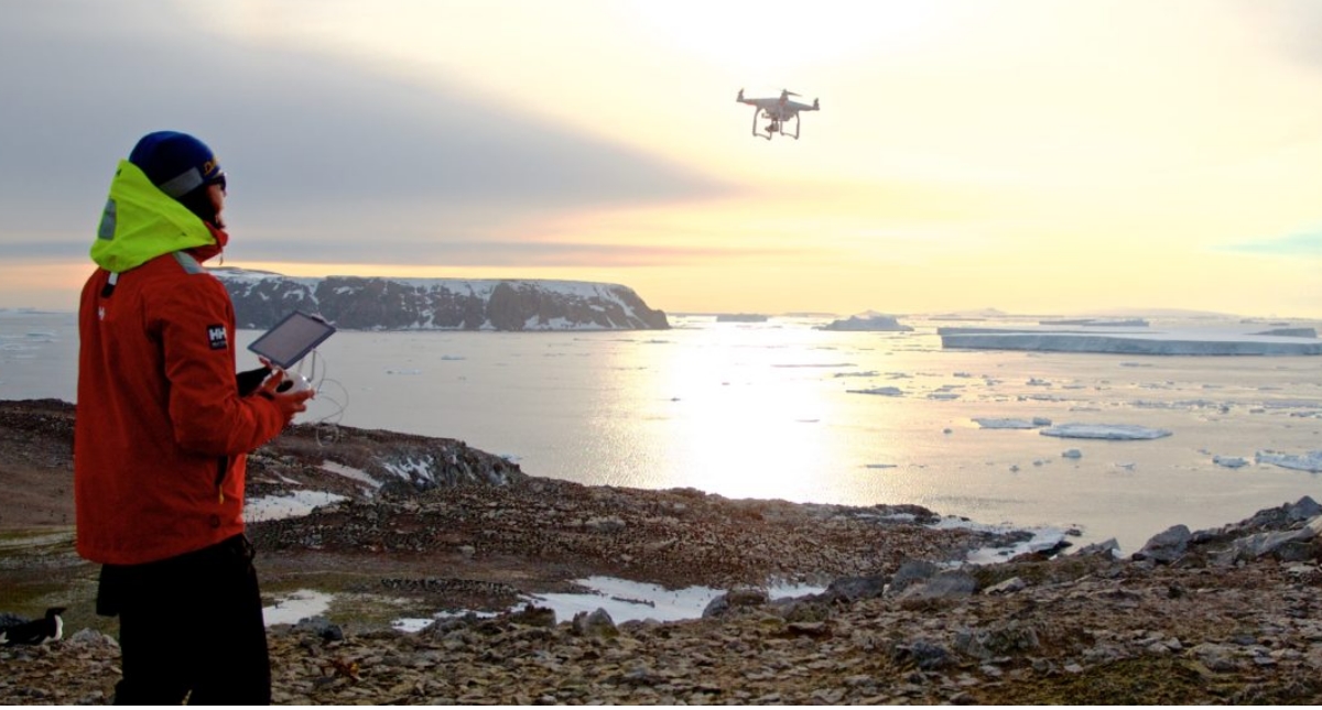 Hallan colonia de 1.5 millones de pingüinos en la Antártida - antartida-drones-pinguinos-colonia