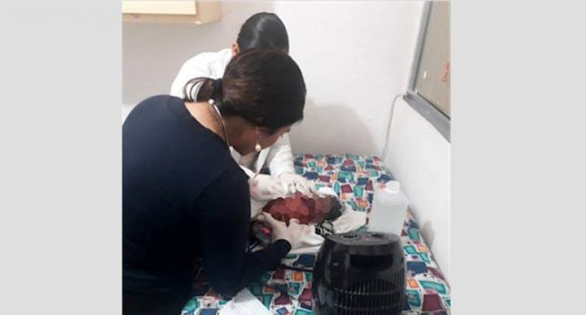 Encuentran a recién nacida en bote de basura en Matamoros