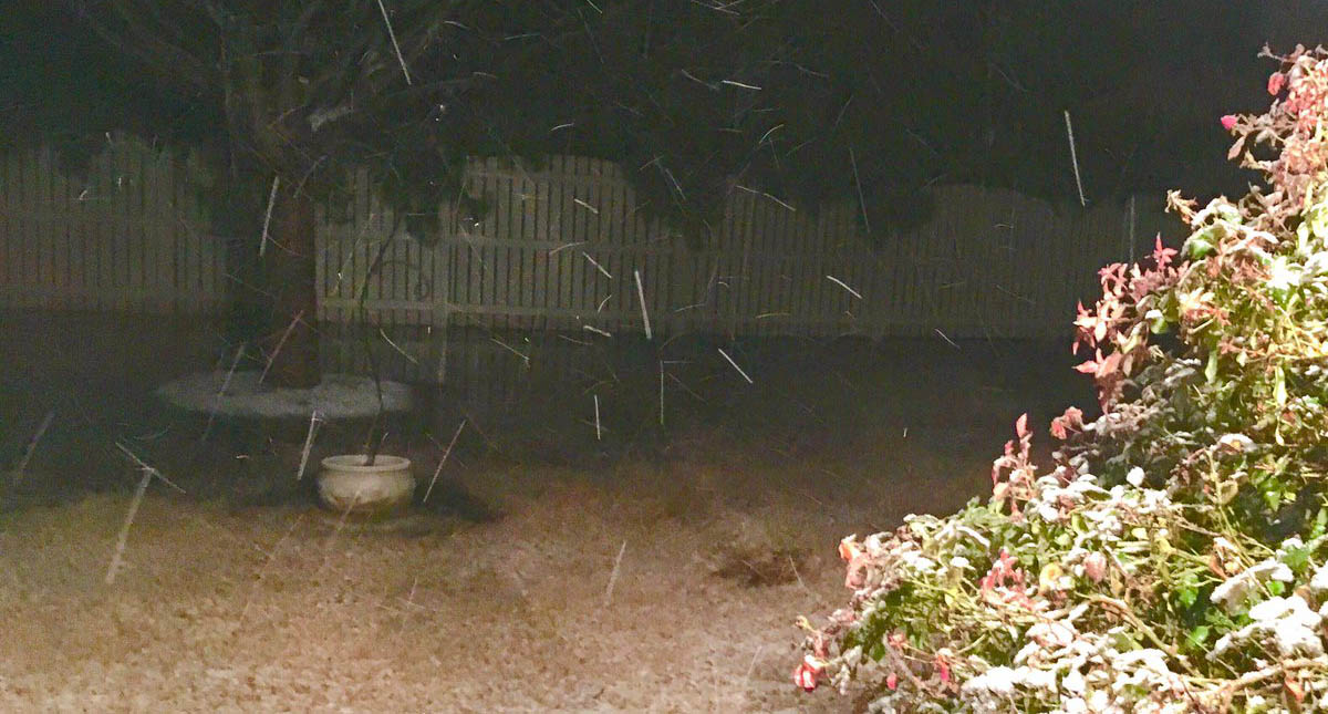 Tormenta invernal paraliza actividades al sureste de EE.UU. - caida-de-nieve-en-eeuu