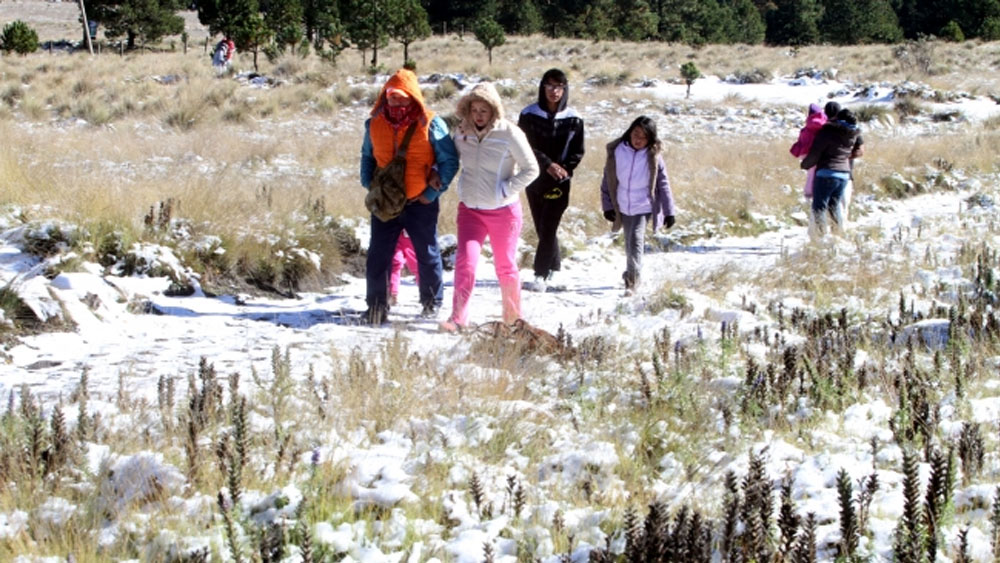 Prevén caída de nieve en al menos cuatro estados del país