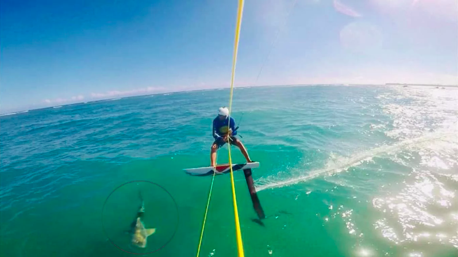#Video Surfista choca con tiburón en plena práctica