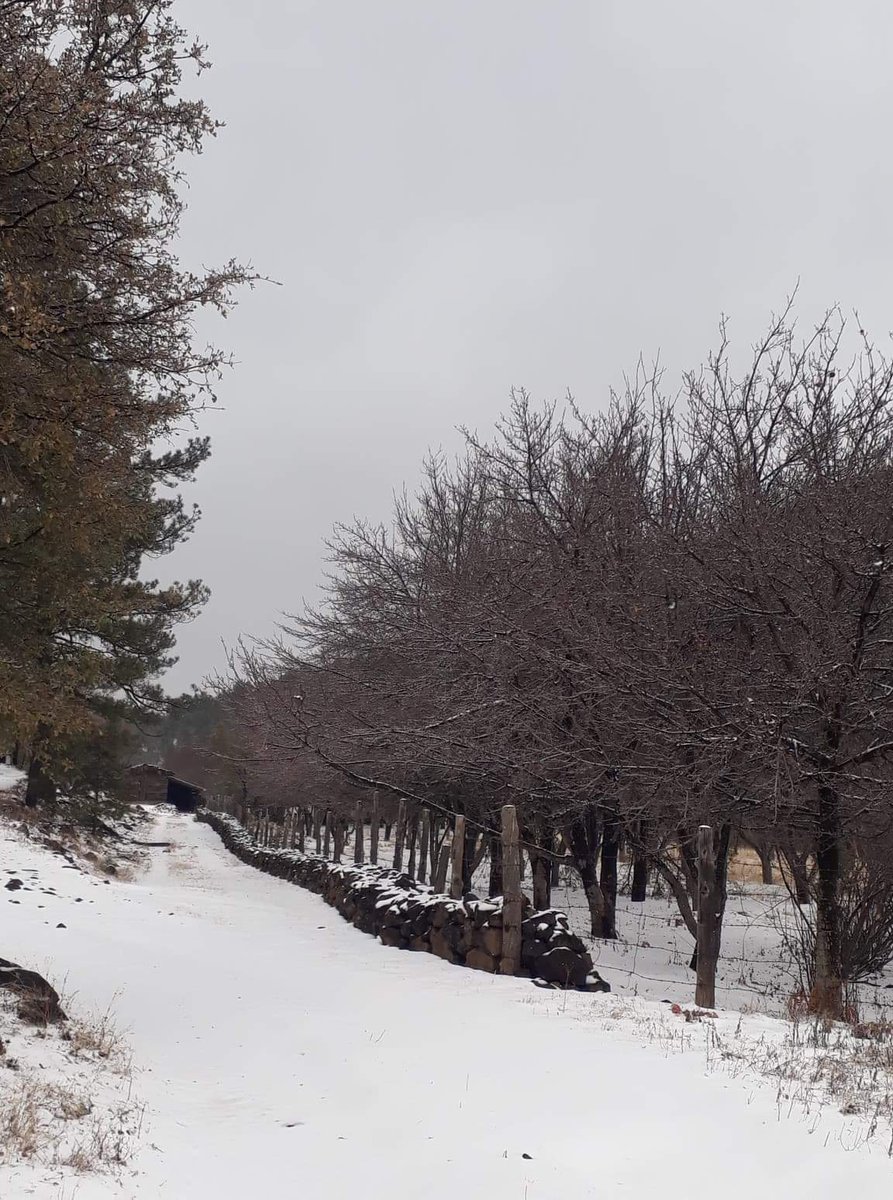 Frente frío 20 provoca nevadas en Chihuahua y Sonora - chihuahua-nevada