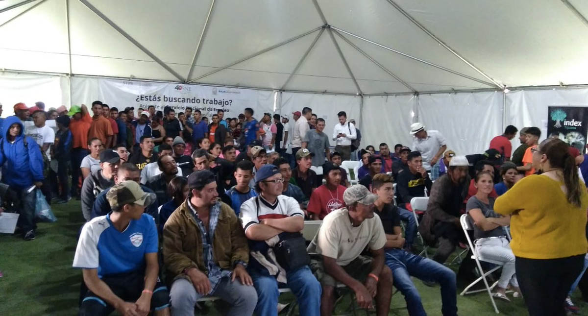Dan empleo a 2 mil 381 migrantes centroamericanos en Baja California