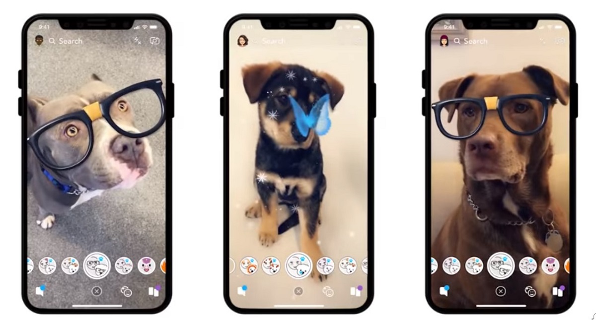 #Video Snapchat lanza filtros para perros