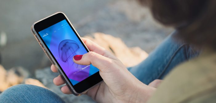 Anatomía de tu contrato de telecomunicaciones móviles