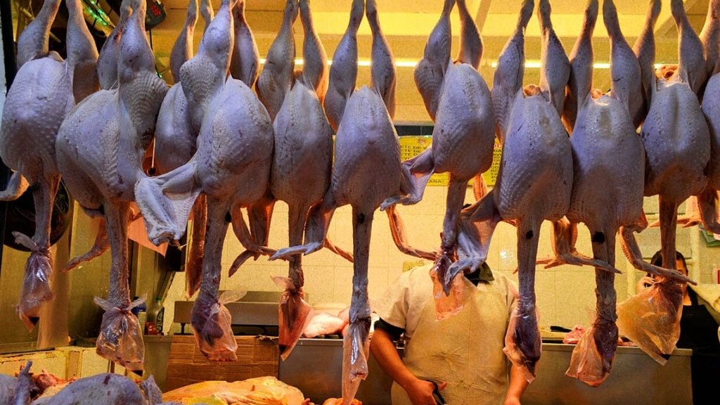 El pavo se impone a las carnes exóticas en el Mercado de San Juan