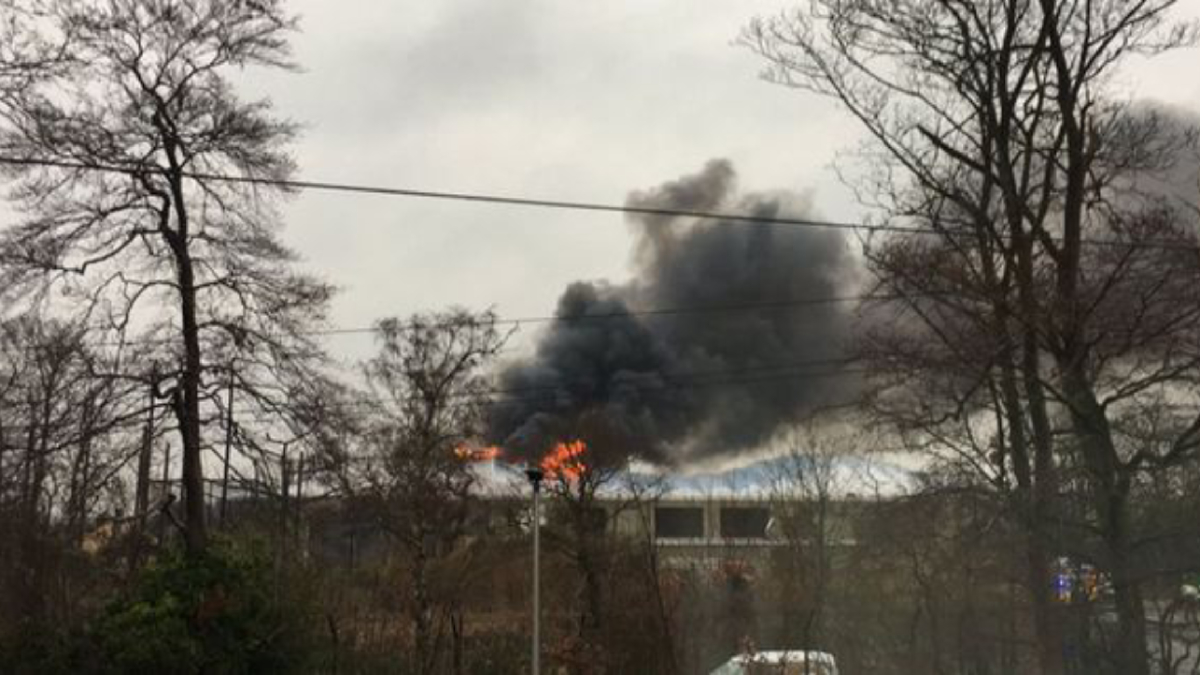 Se incendia zoológico en Reino Unido