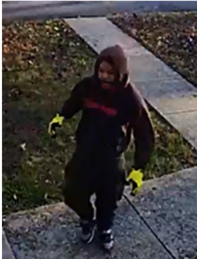 #Video Ladrón batalla para llevarse pantalla que acababa de robar - ladron-de-television-en-fort-washington