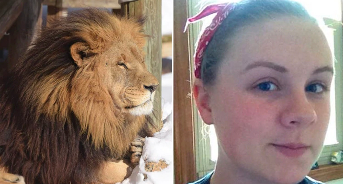León mata a joven pasante de zoológico en Carolina del Norte