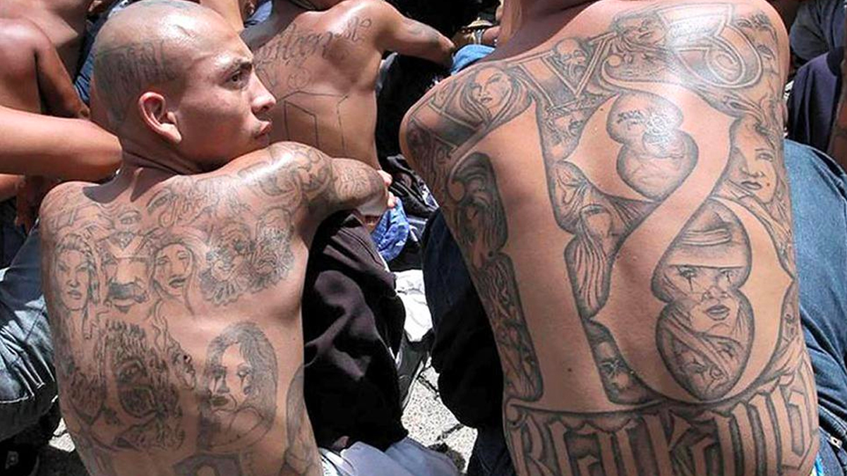 Cisen debe difundir informe sobre los Mara Salvatrucha: INAI