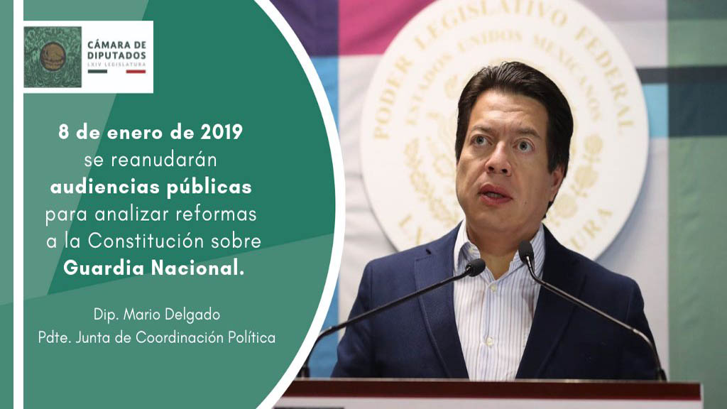 Audiencias públicas sobre la Guardia Nacional iniciarán el 8 de enero - mario-delgado-sobre-la-guardia-nacional