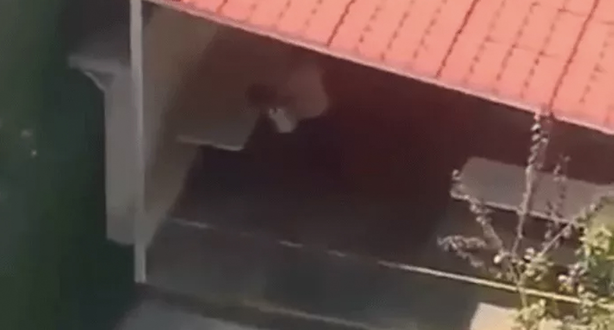 #Video Mujer ahorca a menor en escuela de la Ciudad de México