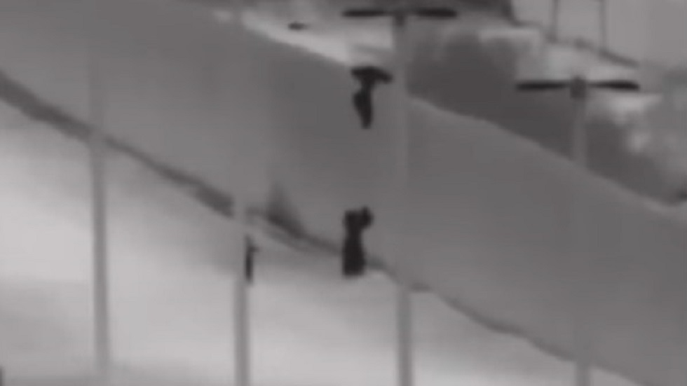 #Video Arrojan a niños desde muro fronterizo hacia Estados Unidos - momento-en-que-mexicano-arroja-a-menor-a-sus-padres-desde-muro-fronterizo