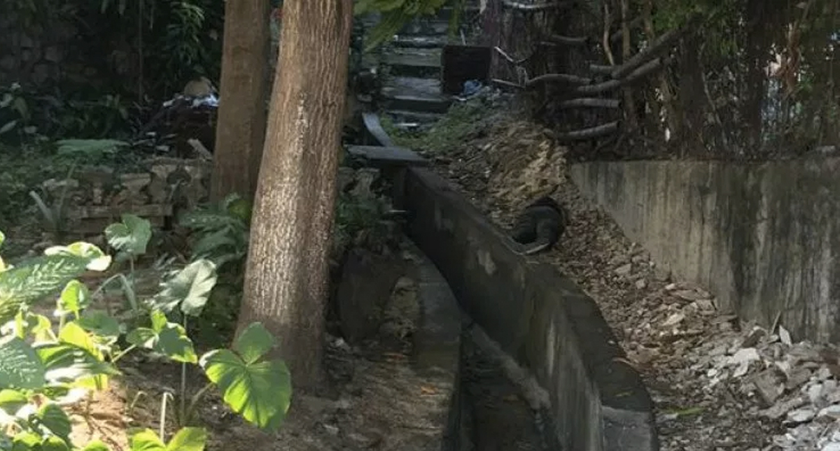 Asesinan a mujer en Acapulco