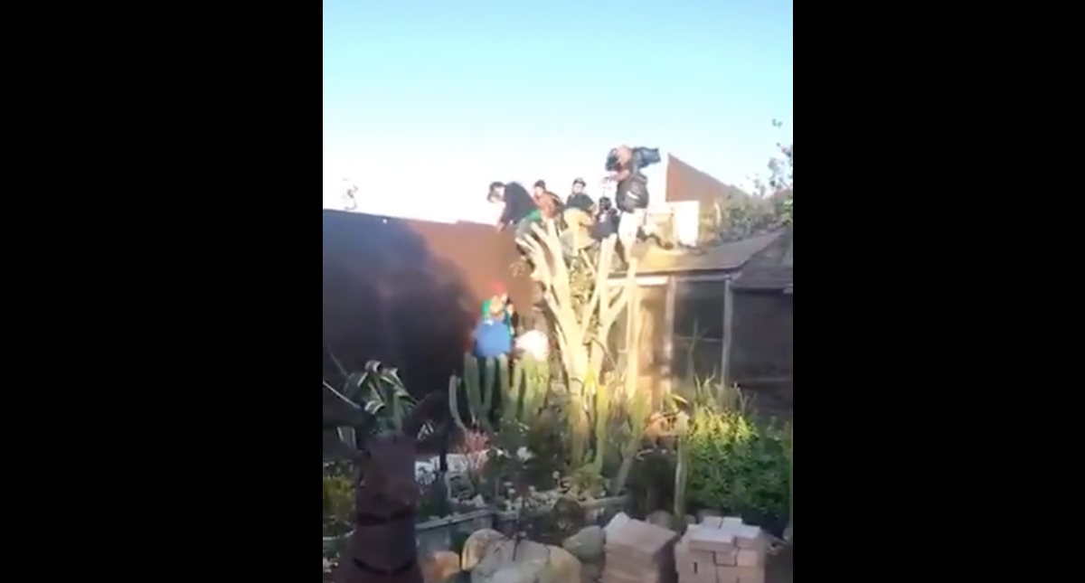 #Video Migrantes allanaron casa para saltar muro fronterizo