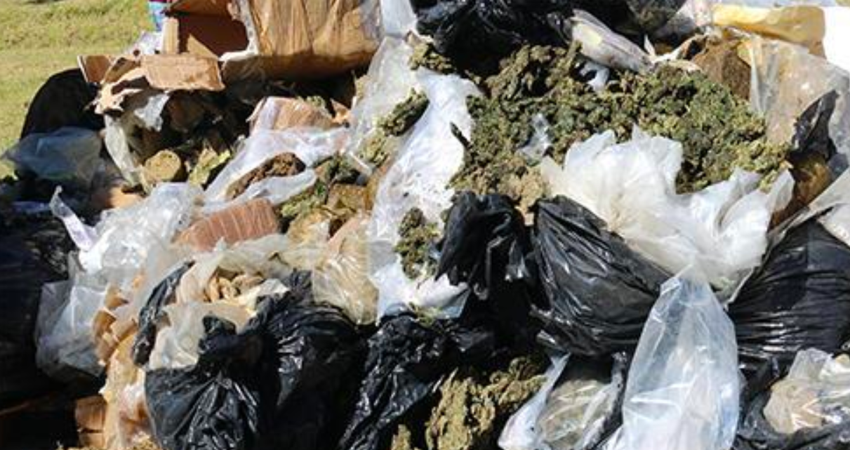 Incineran más de 700 kilos de narcóticos en el Estado de México