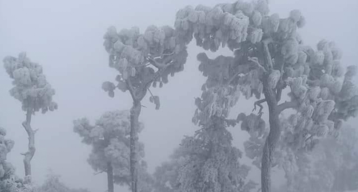 Reabren circulación de carretera federal en Sonora tras nevada