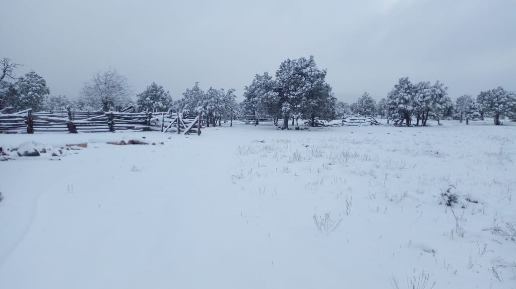 Nieva en ciudades de Sonora y Chihuahua - nevadas-sonora-y-chihuahua