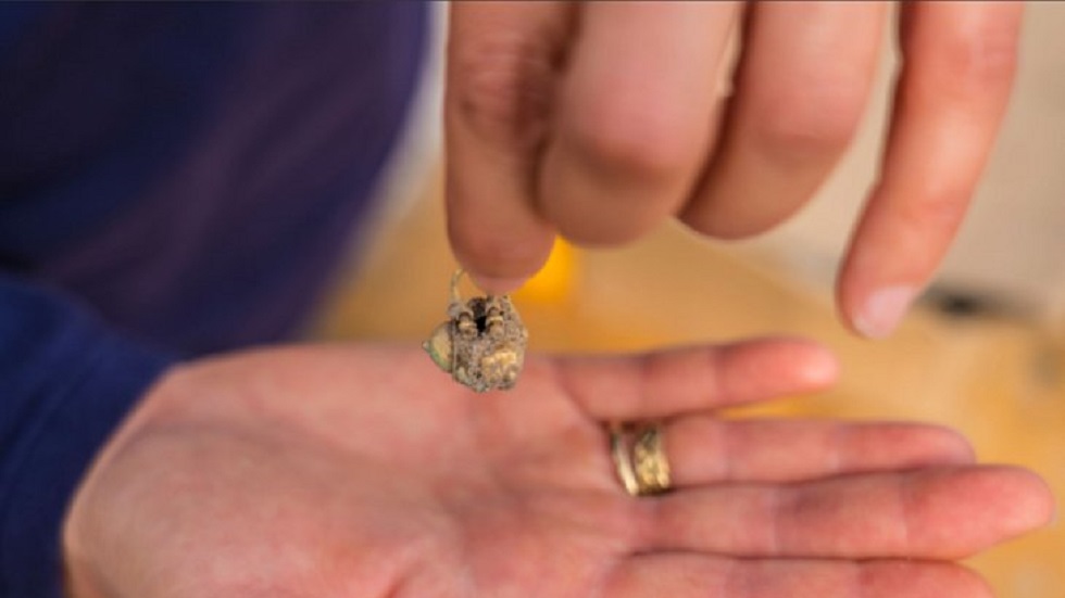 Hallan monedas de hace 900 años en Jerusalén - pendiente-hallado-en-excavacion-en-cesarea