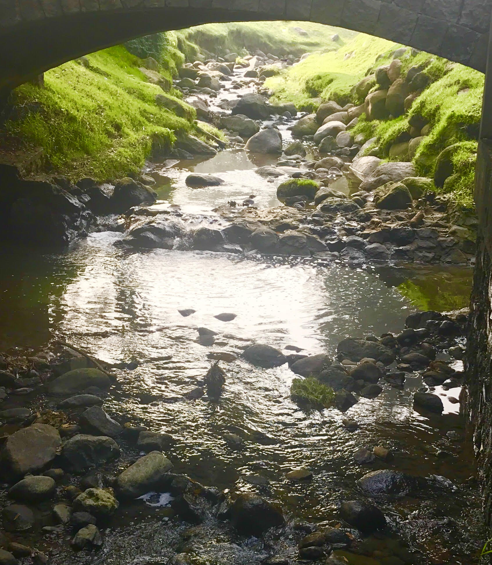 Un viaje al Mundo Inca