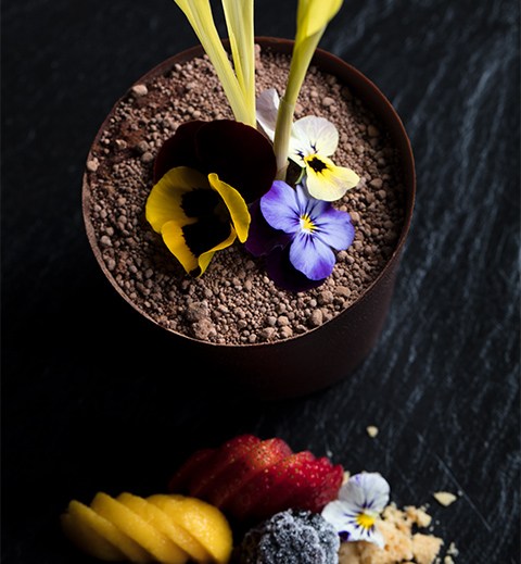 Recomendaciones para el fin de semana (del 28 al 31 de diciembre) - recomendaciones3-2