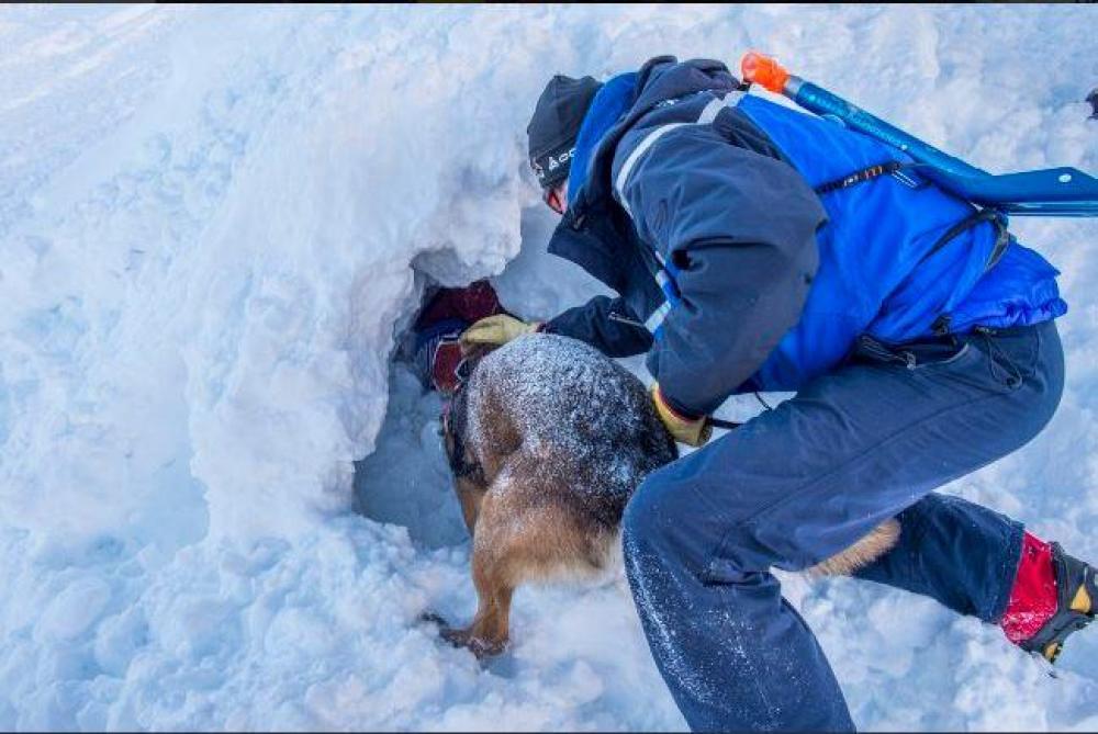 Rescatan a niño enterrado por la nieve durante avalancha en Francia - rescate-nino-alpes