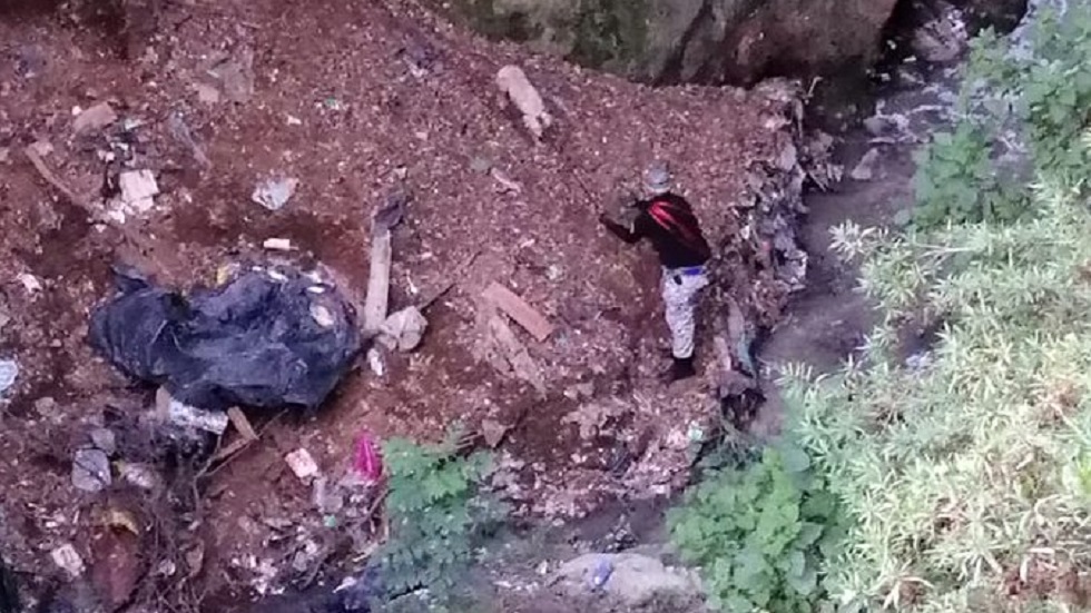 Salvan a perro del fondo de una barranca en la Ciudad de México - rescate-perro