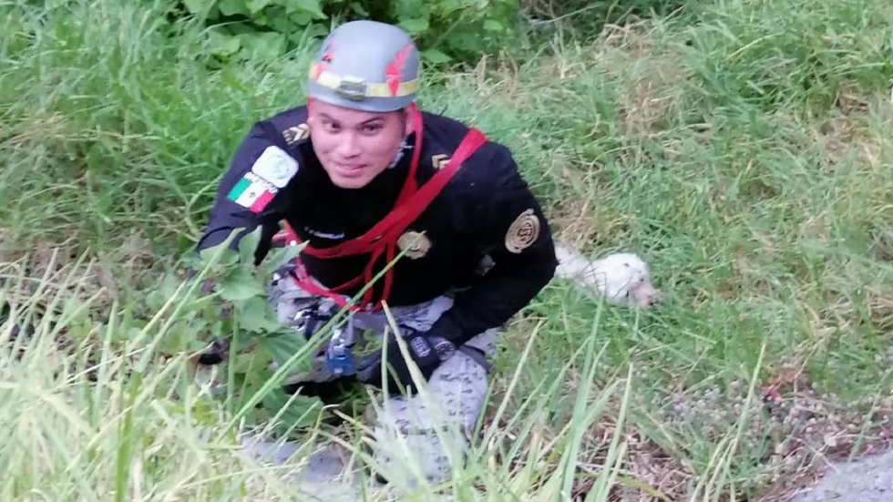 Salvan a perro del fondo de una barranca en la Ciudad de México - rescate
