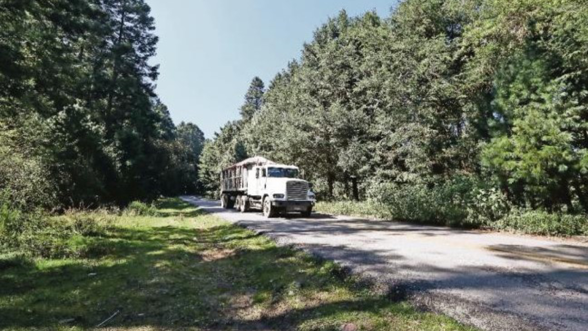 Rescatan a familia extraviada en el Ajusco