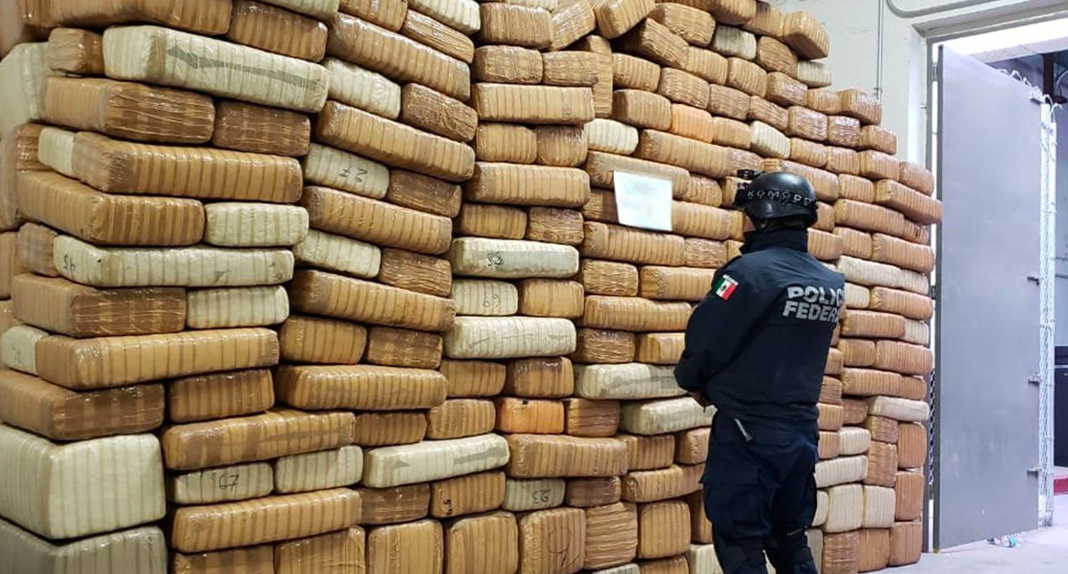 Hallan 3 toneladas de mariguana escondida entre matorrales en Sonora