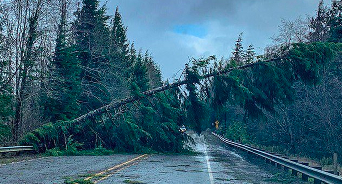 Sistema de tormentas azota Costa Este de Estados Unidos - tormentas-eu