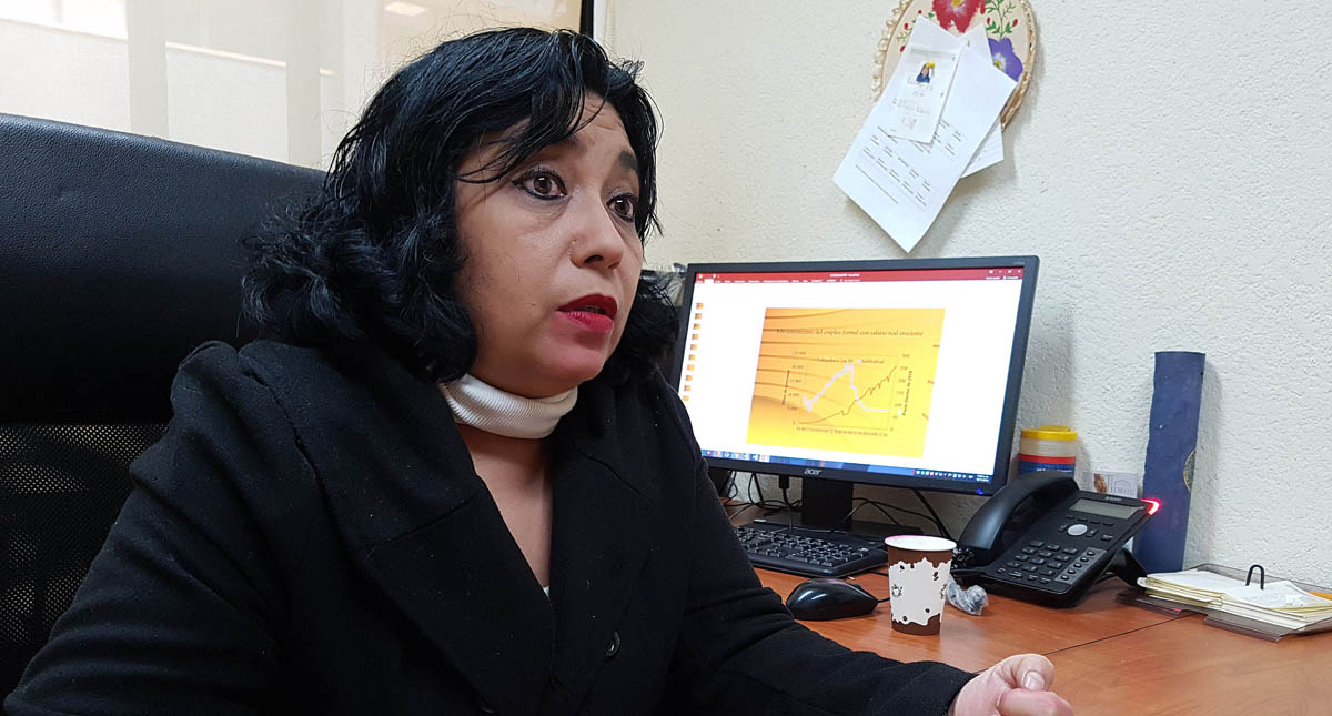 Aumentar salario mínimo no bastará: investigadora de la UNAM - violeta-rodriguez-del-villar