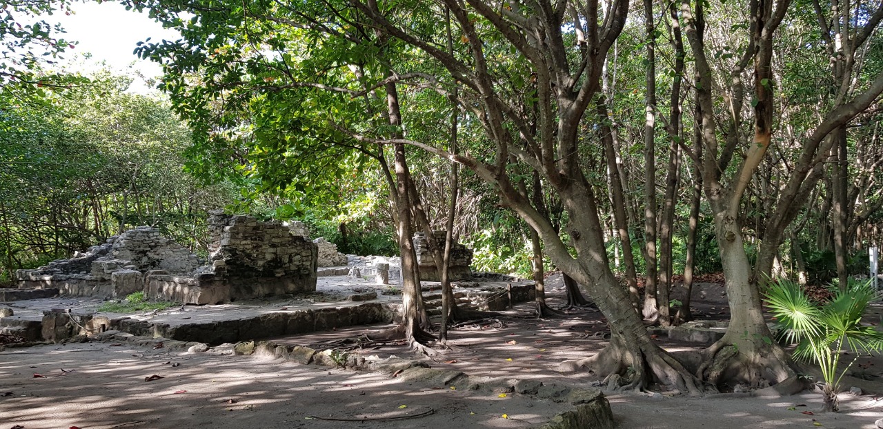 Una zona arqueológica poco visitada en el corazón turístico de Cancún - whatsapp-image-2018-12-18-at-142042-2