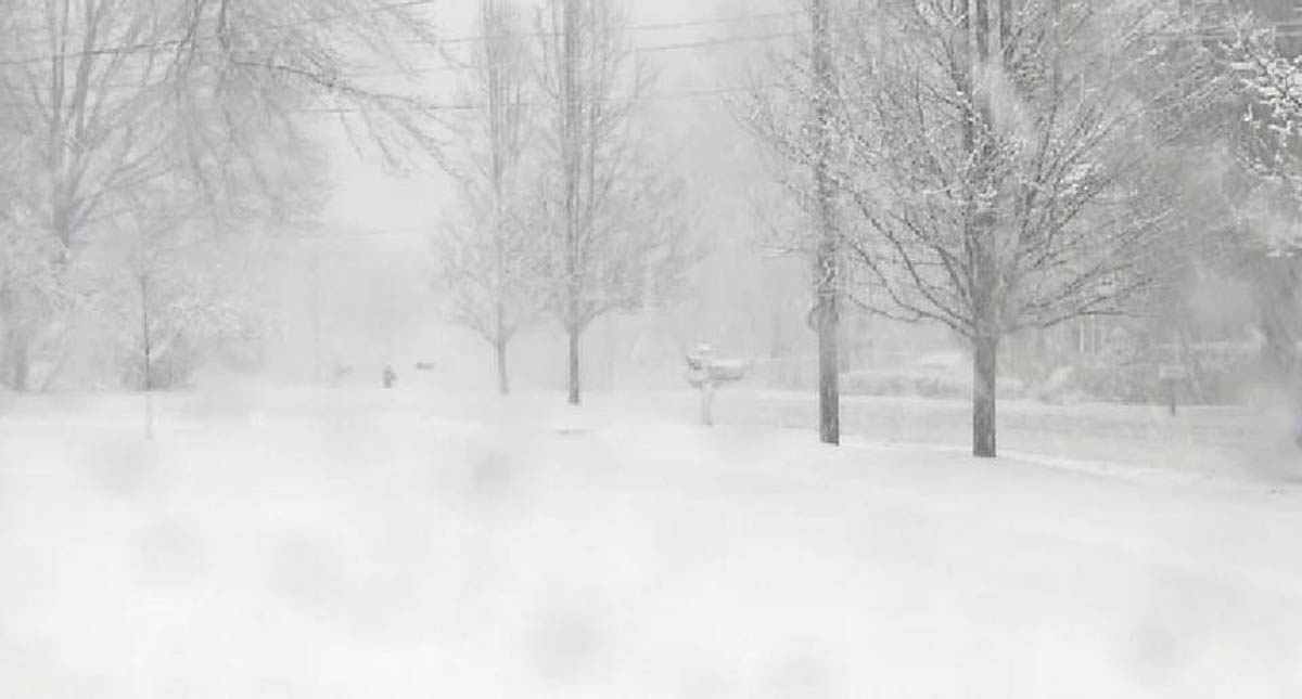 Tormenta invernal paraliza actividades al sureste de EE.UU.