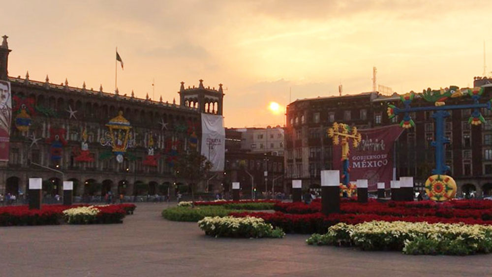 Instalan jardín de nochebuenas en el Zócalo