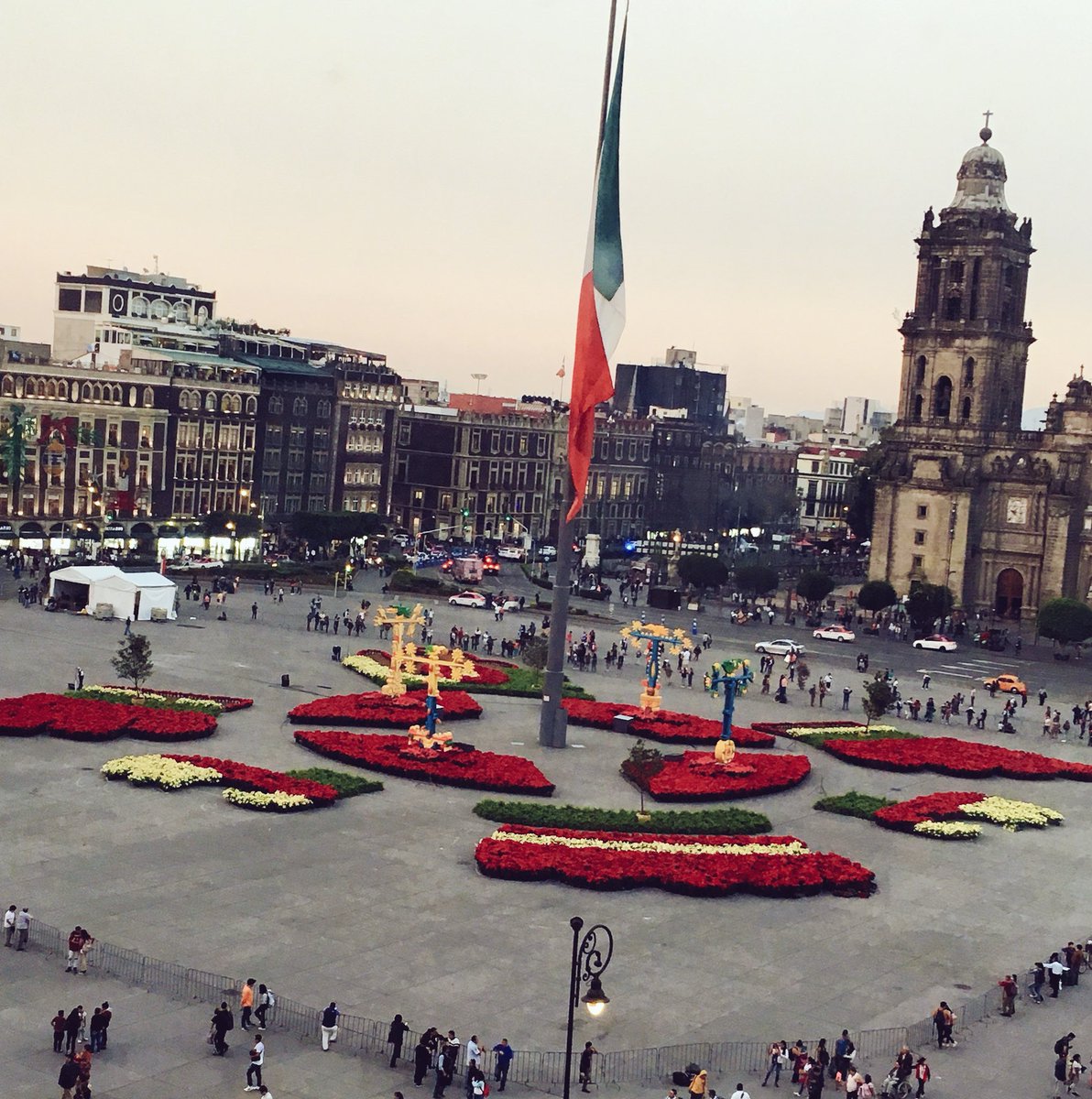 Instalan jardín de nochebuenas en el Zócalo - zocalo-nochebuenas1