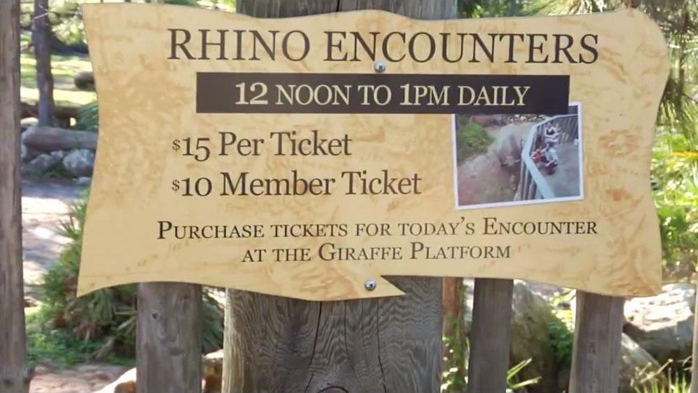 Menor resulta herido tras caer a zona de rinocerontes en zoológico - 010119-n13-brevard-zoo-rhino-encounter