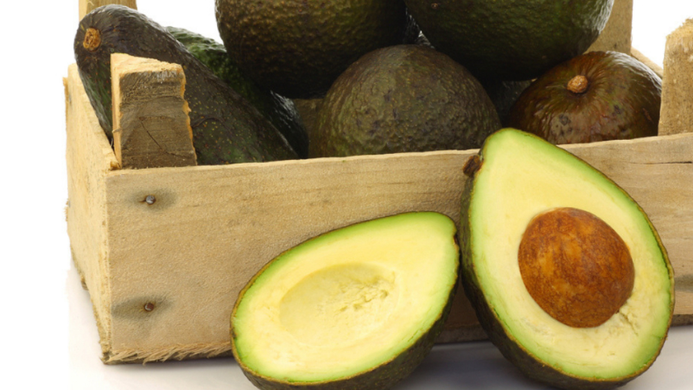 Michoacán exporta 32 mil toneladas de aguacate previo al Super Bowl