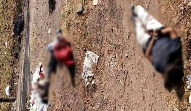 Asesinan a 12 personas en Guanajuato en tres hechos diferentes