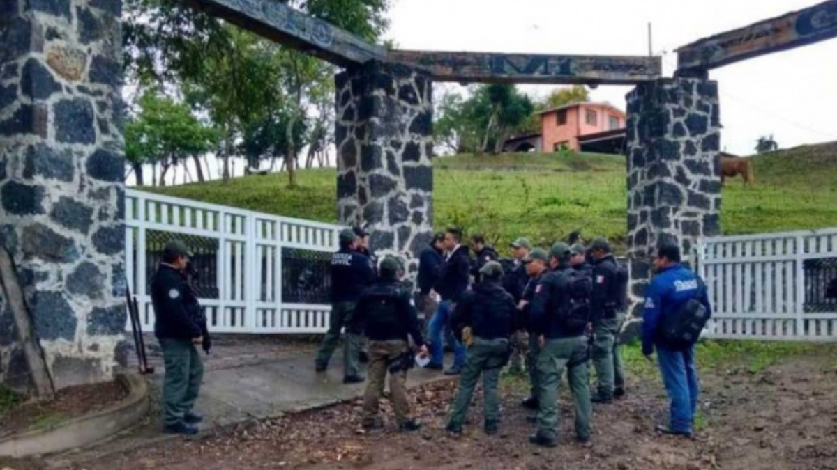 Encuentran reses robadas en rancho de exdiputado en Veracruz