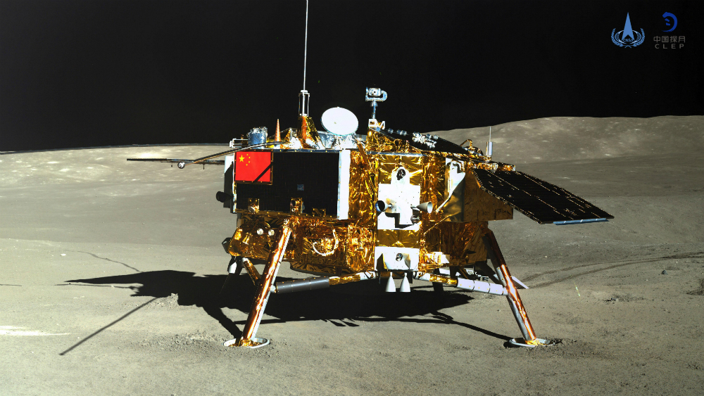 Germina en la Luna semilla de algodón transportada por sonda china