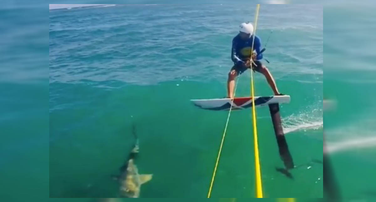 #Video Deportista choca con tiburón al entrenar kitesurf